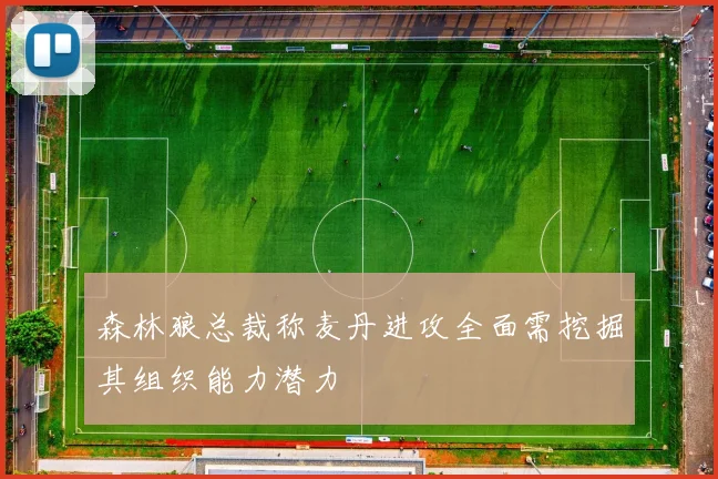 森林狼总裁称麦丹进攻全面需挖掘其组织能力潜力