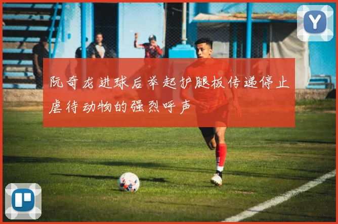 阮奇龙进球后举起护腿板传递停止虐待动物的强烈呼声