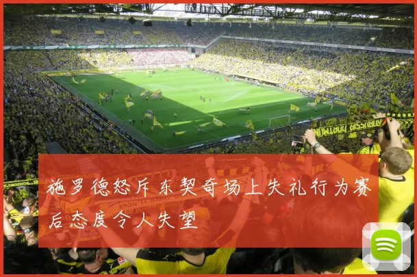 施罗德怒斥东契奇场上失礼行为赛后态度令人失望